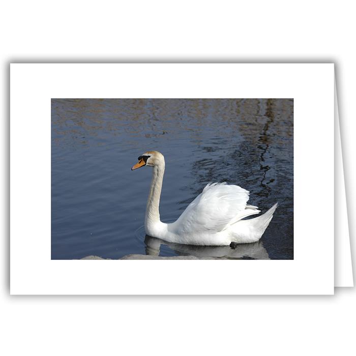 variant_image