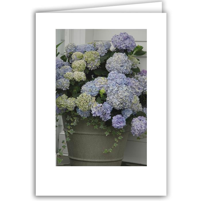 variant_image