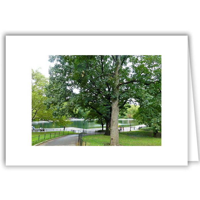 variant_image