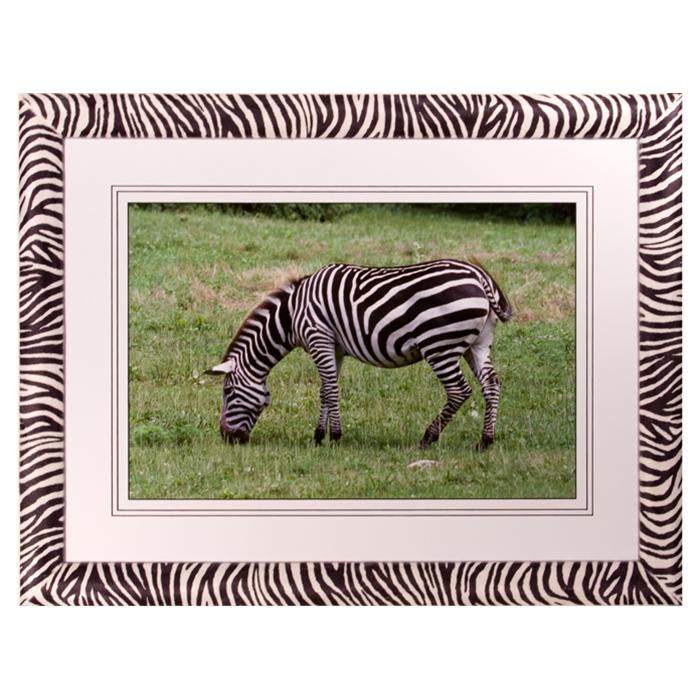 Zebra photograph by Kurt Neumann