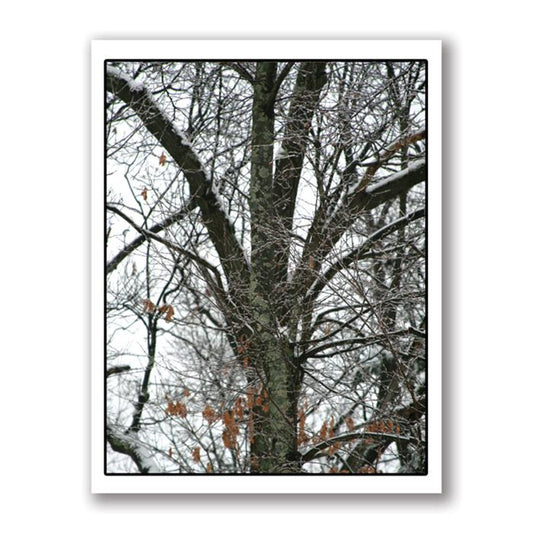 Snow tree card by Kurt Neumann