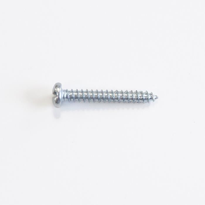 Screw - 1" long