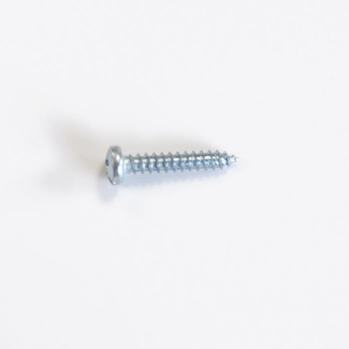 Screw - 3/4" long