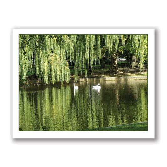 Swans card by Kurt Neumann