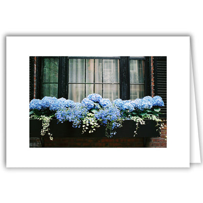 Helen Eddy photo card - Hydrangea Window Box - Item 100D-1290-8A
