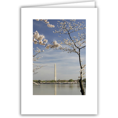Helen Eddy photo card - Washington Monument (V) - Washington DC - Item 140d-50