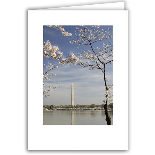 Helen Eddy photo card - Washington Monument (V) - Washington DC - Item 140d-50