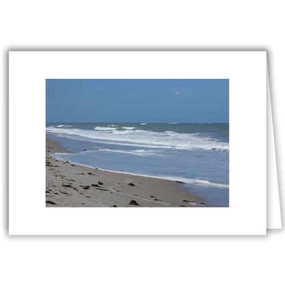 Helen Eddy photo card - Icy Blue Waters, FL - Item 161d-38