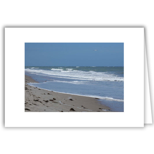 Helen Eddy photo card - Icy Blue Waters, FL - Item 161d-38