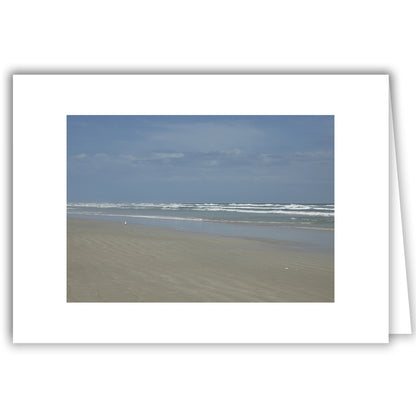 Helen Eddy photo card - Low Tide, Lone Gull, FL - Item 161d-86