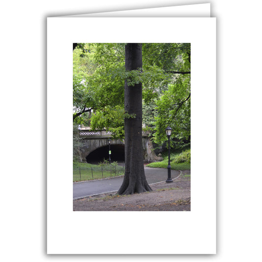 Helen Eddy photo card - Central Park, NY - Item 200d-77