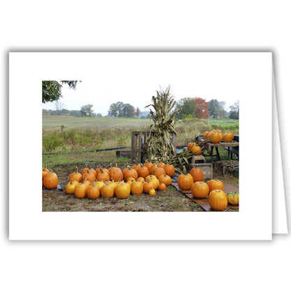 Helen Eddy photo card - Pumpkin Harvest with Corn Stalks - Item 232D-12
