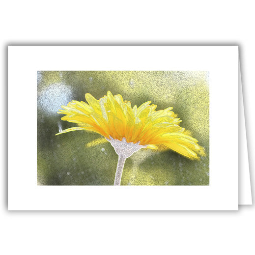 Helen Eddy photo card - Daisy Sunshine   - Photo - Item 239D-98