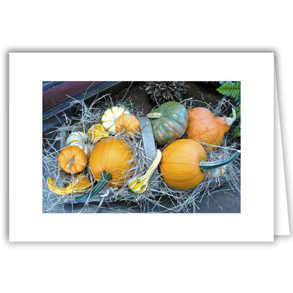 Helen Eddy photo card - Pumpkins with White Gourd - Item 271D-93