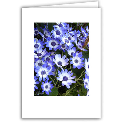 Helen Eddy photo card - Deep Blue Beauty - Item 278D-72