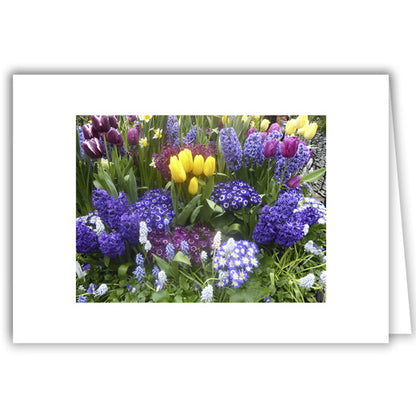 Helen Eddy photo card - Spring Blossoms - Item 292D-22