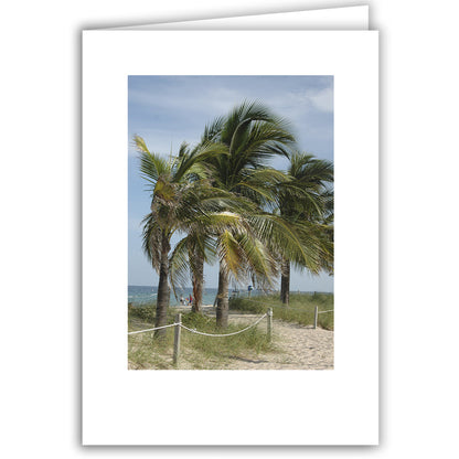 Helen Eddy photo card - Palms On Beach, FL - Item 30d-90