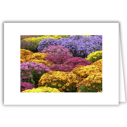 Helen Eddy photo card - Mumscape - Item 310D-20