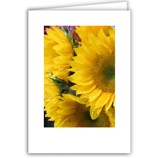 Helen Eddy photo card - Yellow Chrysanthemum - Item 316D-34