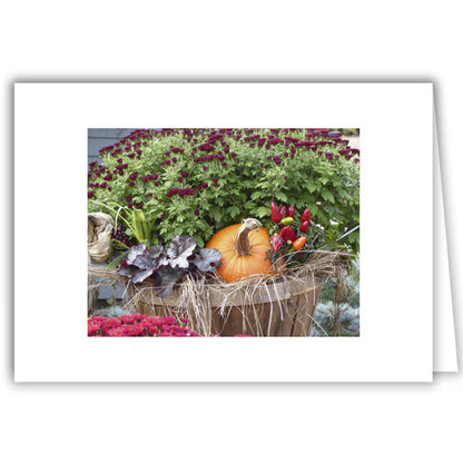 Helen Eddy photo card - Autumn Pumpkin Planter Peppers and Mum - Item 324D-92