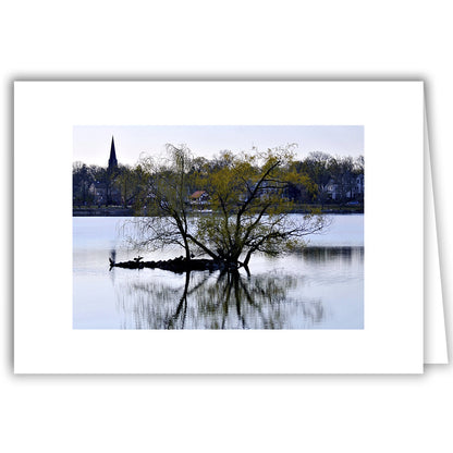 Helen Eddy photo card - Jamaica Pond Island, Jamaica Plain, MA - Item 352d-10