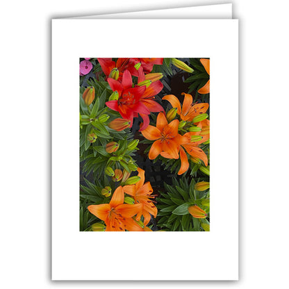 Helen Eddy photo card - Orange Lilies - Item 363D-115