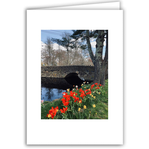 Helen Eddy photo card - Tulips and Stone Bridge - Item 363D-39