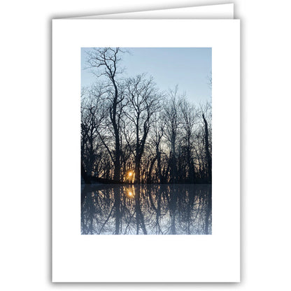 Helen Eddy photo card - Trees Reflected at Sunset - Item 365D-89
