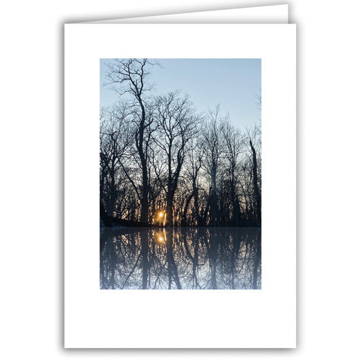 Helen Eddy photo card - Trees Reflected at Sunset - Item 365D-89