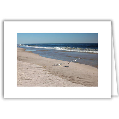 Helen Eddy photo card - Gulls Over Beach - Long Island - Item 44D-30