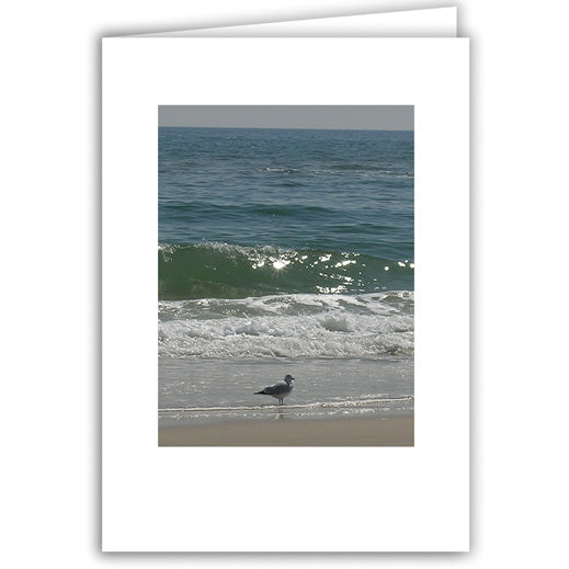 Helen Eddy photo card - Lone Gull with Sun in Waves - Long Island - Item 44D-69
