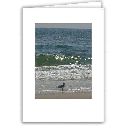 Helen Eddy photo card - Lone Gull with Sun in Waves - Long Island - Item 44D-69
