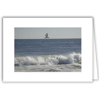 Helen Eddy photo card - Lone Gull over Crashing Wave - Long Island - Item 45D-73