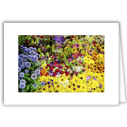 Helen Eddy photo card - A Splash of Flowers - Item 50D-1167-8A