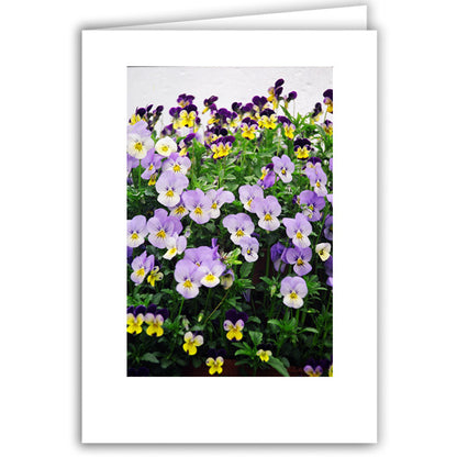 Helen Eddy photo card - Lavender Violas - Item 50D-1188-8A