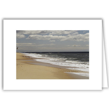 Helen Eddy photo card - Beach Seagull Flock on left - Long Island - Item 50D-1231-1A