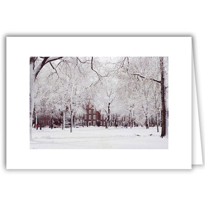 Helen Eddy photo card - Harvard Yard - Winter - Item 50D-181-36