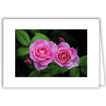 Helen Eddy photo card - Twin Pink Roses - Item 50D-185