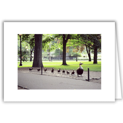 Helen Eddy photo card - Make Way for Ducklings (H) - Item 50D-740-18A