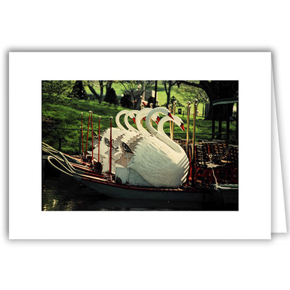 Helen Eddy photo card - Swan Boats at Rest - Item 50D-B23