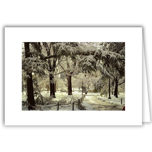 Helen Eddy photo card - Boston Public Garden in Winter - Winter - Item 50D-B53