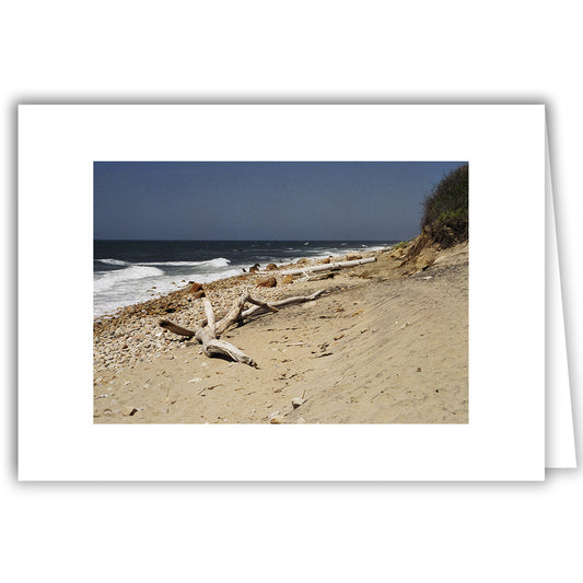 Helen Eddy photo card - Driftwood Star, Block Island, RI - Item 1095-4