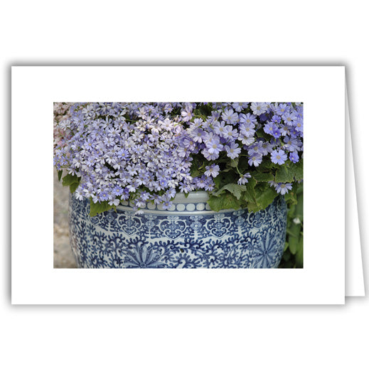 Helen Eddy photo card - Flowers in Blue Ceramic Pot - Item 68D-32