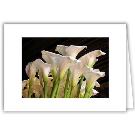 Helen Eddy photo card - Calla Lilies - Item 69D-90