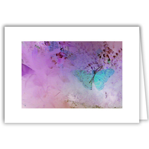 Helen Eddy photo card - Blue Butterfly - Item 93D-85