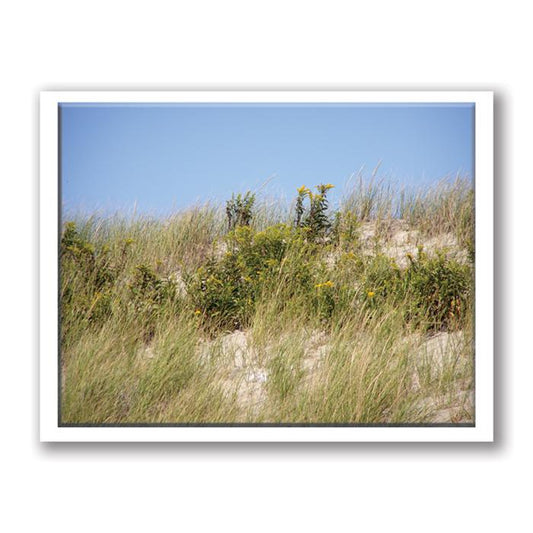 Beach dunes card - by Kurt Neumann