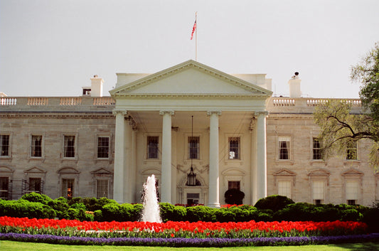 Helen Eddy photo  - DC 10 by Helen Eddy - Item DC-10