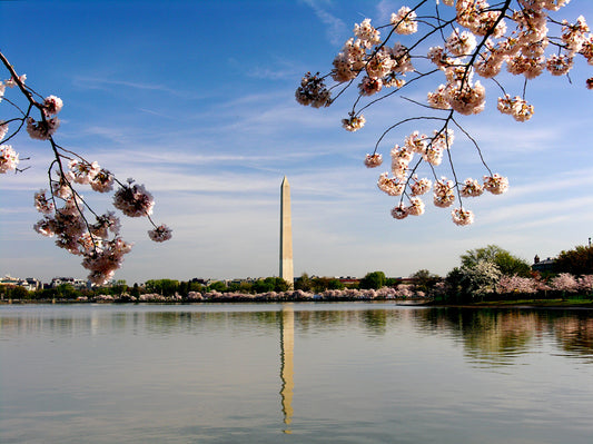 Helen Eddy photo - DC 12 by Helen Eddy - Item DC-12