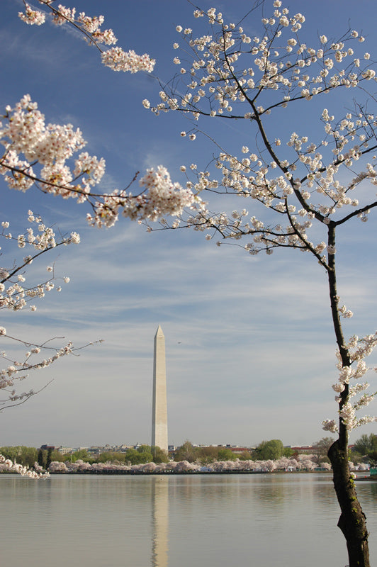 Helen Eddy glitter photo card - DC 13 by Helen Eddy - Item DC-13