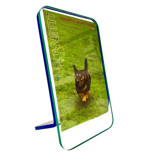 Canetti 4x6 Colorful magnet frame - Green / Blue - LC801